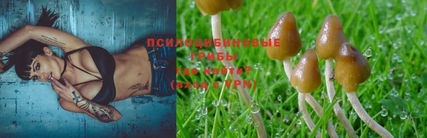 герыч Домодедово