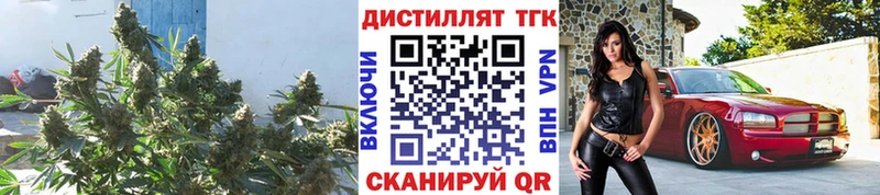 ТГК вейп  где продают наркотики  Белый 